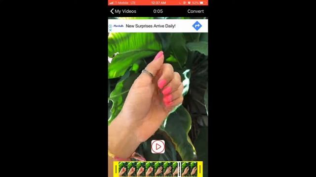 HOW TO CONVERT A VIDEO TO A LIVE PHOTO - QUICK & EASY смотреть онлайн