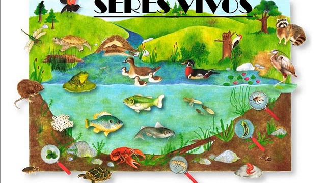Canción Seres vivos смотреть онлайн