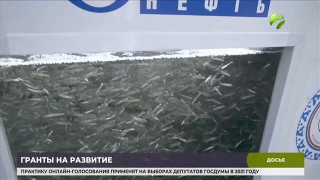 16 ямальских аграриев претендуют на губернаторские гранты смотреть онлайн