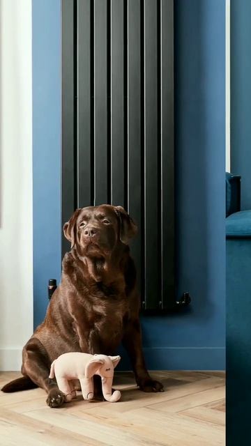 Трубчатые Дизайн Радиаторы 🔥  
Заказать приборы отопления на сайте https://teplypotok.ru/