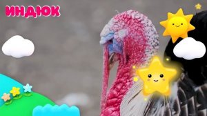 20 минут Животные для детей Звуки животных Домашние животные для самых маленьких