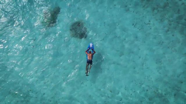 SEABIKE - a water bike, new device for snorkeling смотреть онлайн