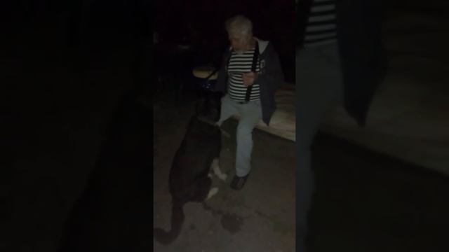 Соскучилась за хозяином смотреть онлайн