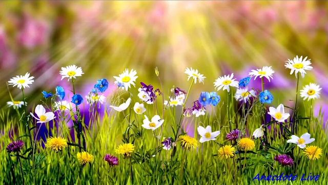 Relaxing video with beautiful nature & music Расслабляющее видео с красивой природой и музыкой смотреть онлайн