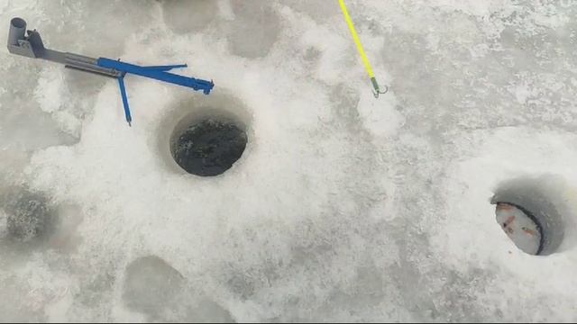 WhatsApp Video 2025-03-01 at 10.00.23 смотреть онлайн