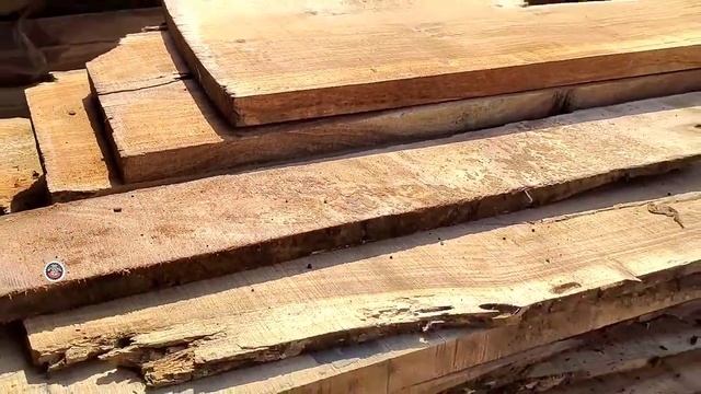 The wood is very sick || Sawmills Suffer смотреть онлайн