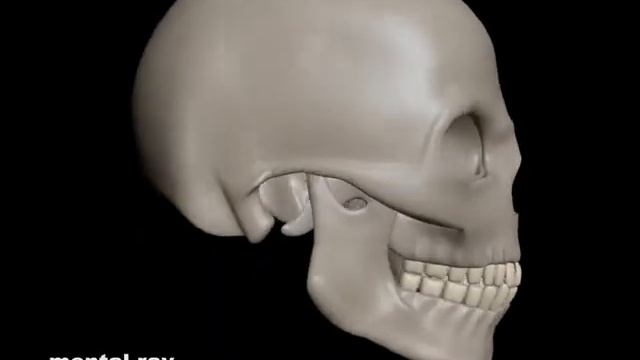 The Skull смотреть онлайн
