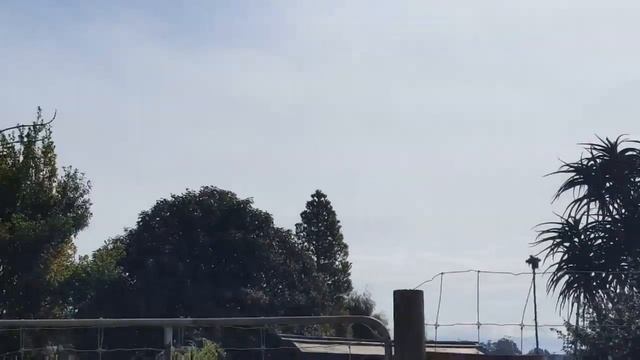 В водном парке. Окленд. Новая Зеландия смотреть онлайн