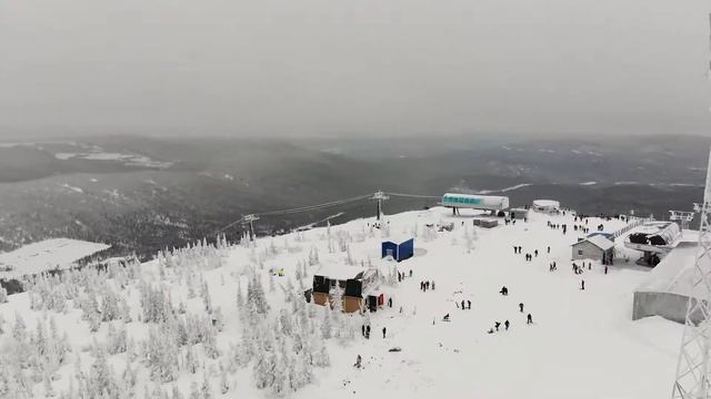 Malca смотреть онлайн