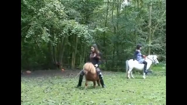 Two Girls Enjoying Pony Ride