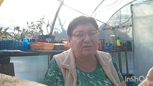 Какими препаратами я пользуюсь.