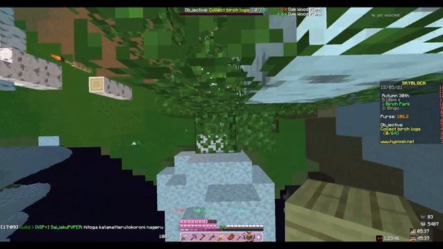 ちょっとかっこいいフェアリーソウルの取り方！パーク編 | Hypixel SkyBlock Park Fairy Souls смотреть онлайн