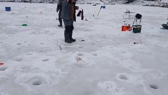 01-03-2025 смотреть онлайн