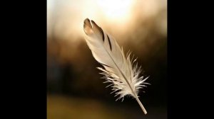 Ветер перемен. Песня