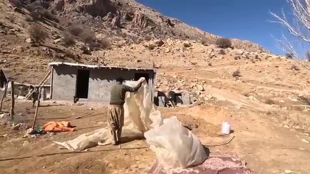 22.01.2024 Почва , Соломенная смесь И Материнская любовь Подготовка к штукатурке Козьего хлева смотреть онлайн