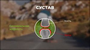 Би Лурон  здоровье суставов для жизни в движении
