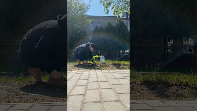 1) Занимаюсь Незаконной высадкой деревьев - клён смотреть онлайн