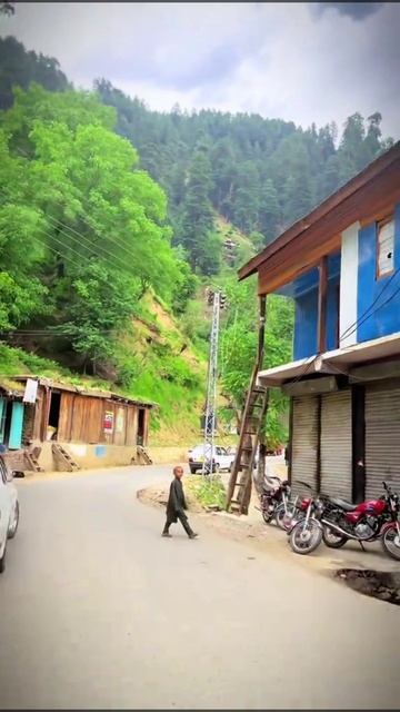 Natural Beauty Of Kashmir смотреть онлайн