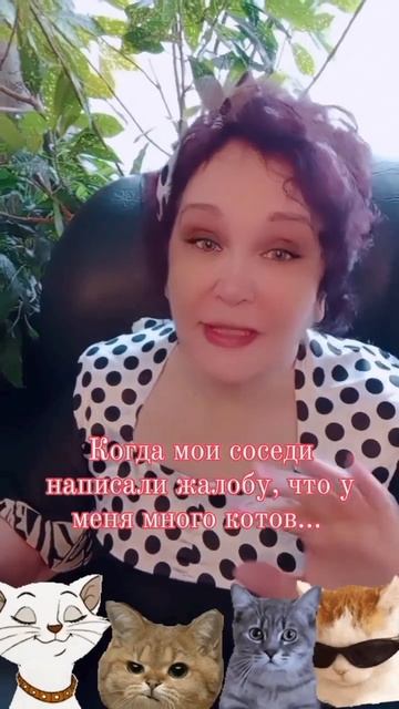 4 мая 2024 г. Я всех своих котиков знаю... #пародии #приколы2024 #прикол #шутки #умора #юмор #short смотреть онлайн