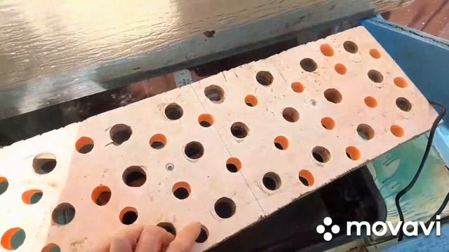 ТЕПЛАЯ ПОИЛКА ДЛЯ ПЧЕЛ. 23.02.2023 Даем искусственную пыльцу #пасека #пчелы #пчеловодство смотреть онлайн