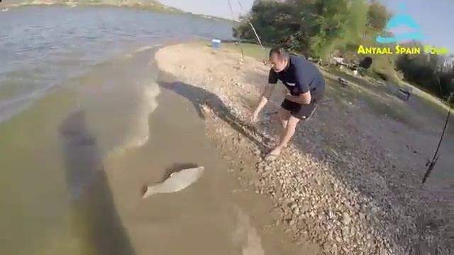 отель стелла испания