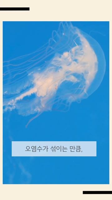 오염수 북태평양 전체로‥우리 해역에는 언제 #shorts смотреть онлайн