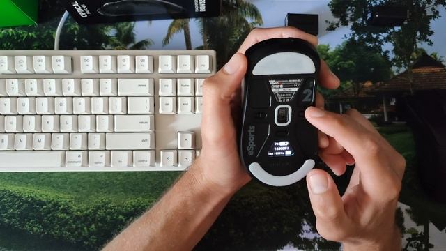 Pulsar Xlite V3 ES Vs Razer DeathAdder V3 Pro