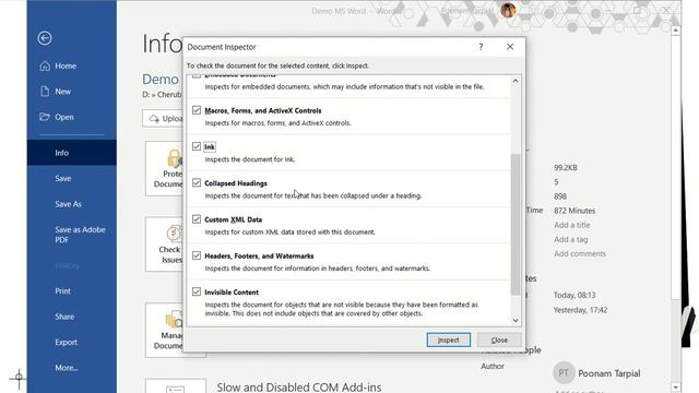 Document Inspector MS Word-Tutorial смотреть онлайн