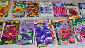 Обзор семян цветов на 2025 год