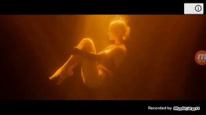 Ты пчела я пчеловод