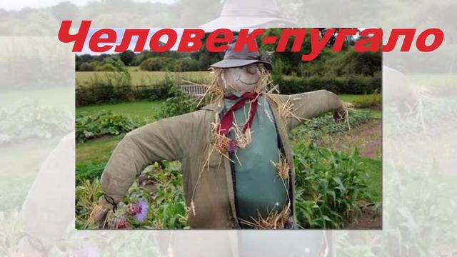 ТОП20 Самые нелепые профессии #ЛучшиеТОПновости