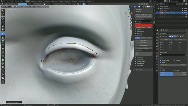 Retopología En Blender Con BSurfaces