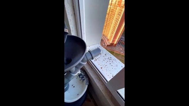 Новые функции веялки для очистки ягод смотреть онлайн