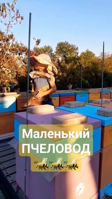 Маленький помощник #пчеловодство #пасека #пчелы #мёд #улей смотреть онлайн