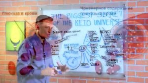 Доктор Берг. Уберите инсулинорезистентность и 80% заболеваний уйдут.