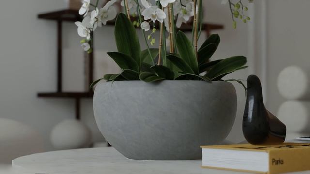House wabi sabi Style | D5 Render 2.5 смотреть онлайн