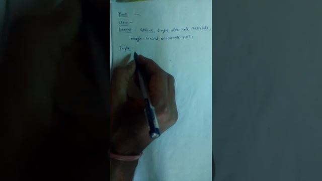 Brassicaceae family part 2 смотреть онлайн