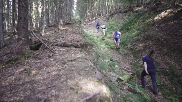 Яйко Ілемське (спроба) 2020