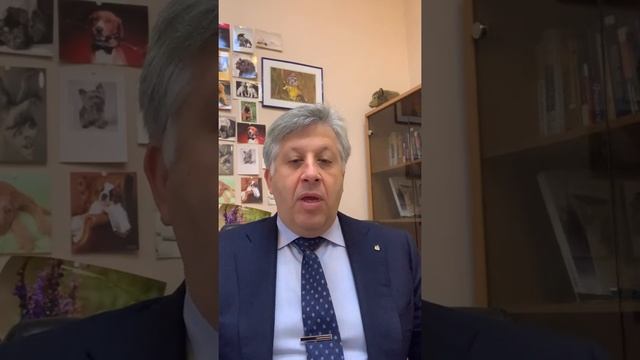 (План BEPS) Юридическая Компания «Амбер» с передачей «Завтрак Юриста» смотреть онлайн