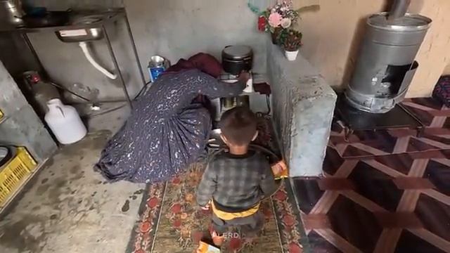 18.02.2024 Ливни, Но Крепкое настроение Сарай Матери-одиночки для хранения корма для Ее овец смотреть онлайн