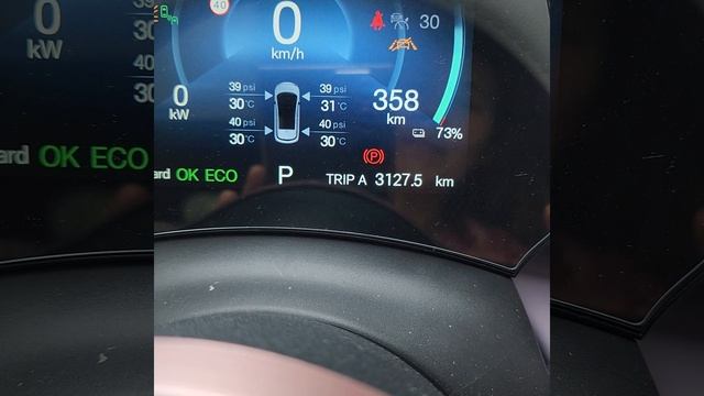 ตั้งค่า Trip A, Trip B ดู ODO ของ รถ BYD EV car смотреть онлайн