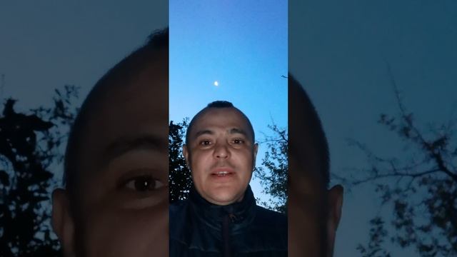 Стихи. Дельфин. последнее слово. читайте, пишите, тварите, любидьте и ненавидь.... по настоящему.. смотреть онлайн