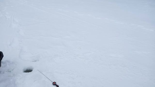 3 А. Атиг Алтай Artuda Рыбалка на Урале смотреть онлайн