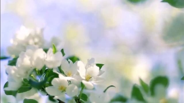 Приходит время... смотреть онлайн