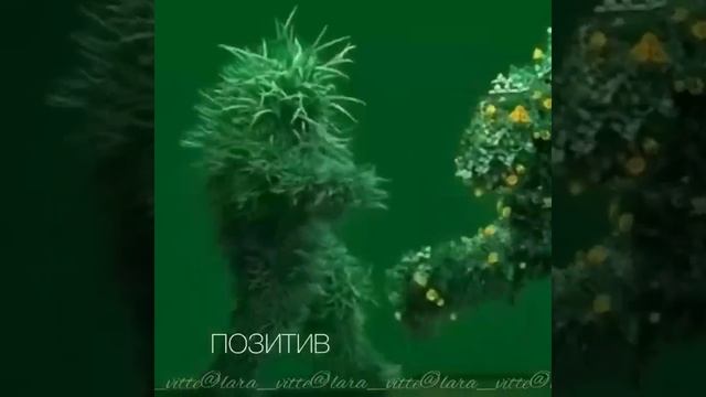 Они идут к Вам смотреть онлайн