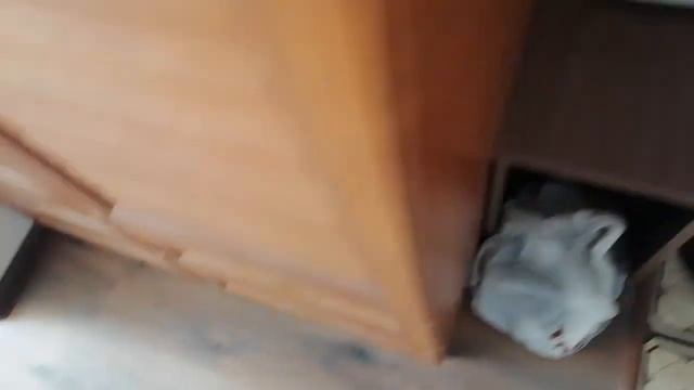 VLOG: 28.08.2022 ОСТАНОВИЛО ГАИ / ШТРАФ /МНЕ СЕГОДНЯ ПОВЕЗЛО С КВАРТИРАМИ смотреть онлайн