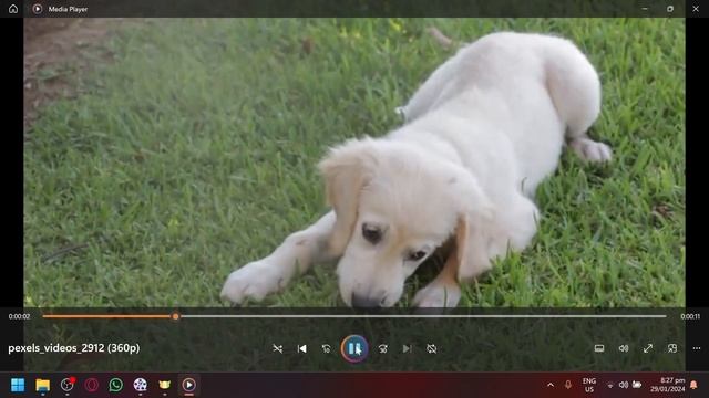 How to Increase Video Quality | Free Video Upscaler AI | Winxvideo AI - GIVEAWAY смотреть онлайн