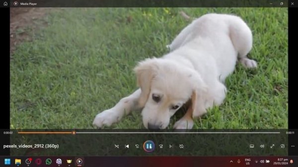 How to Increase Video Quality | Free Video Upscaler AI | Winxvideo AI - GIVEAWAY