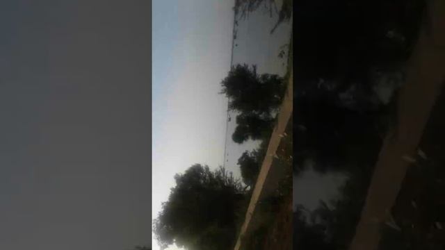 pilukeda (morail baand смотреть онлайн