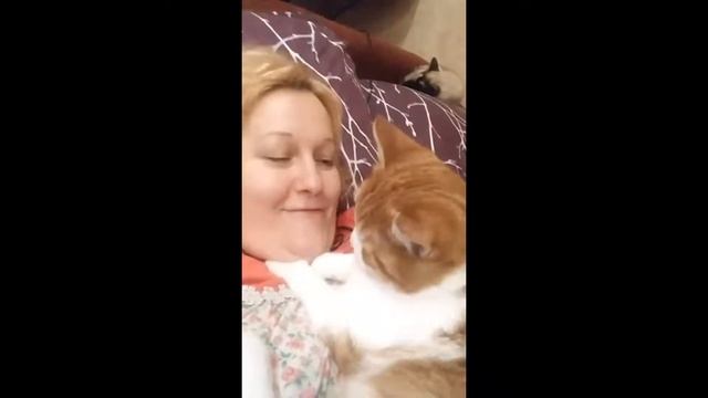Любовь кота Баси #доралюкс #Бася смотреть онлайн